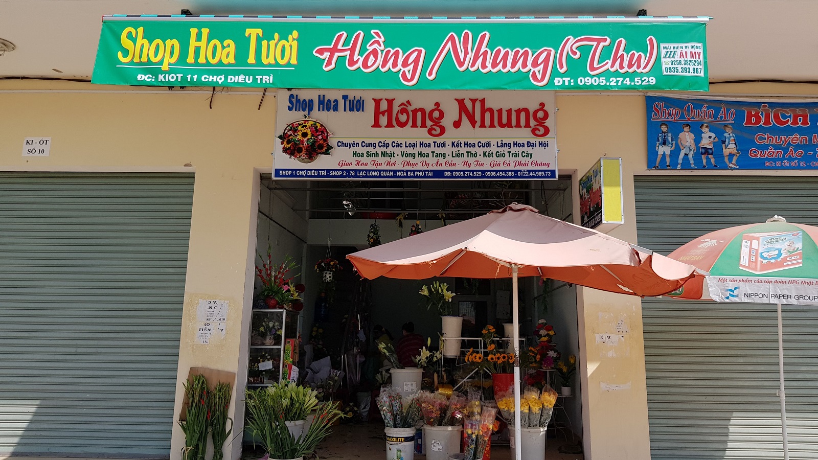 Hoa đẹp Tuy Phước